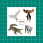 Logo of English Animals Vocabulary android Application 